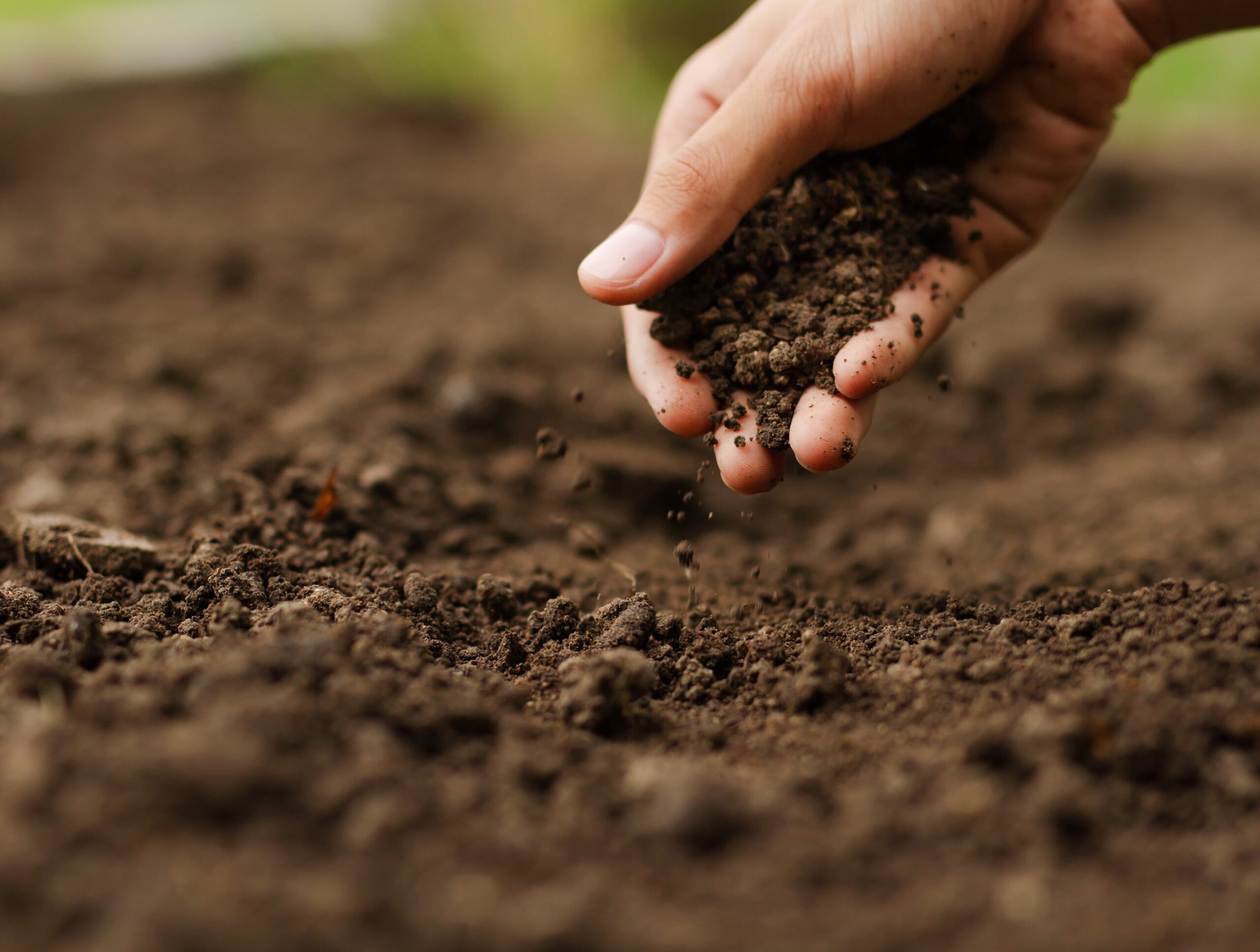 Close-up Hand Checking Soil | A James Global