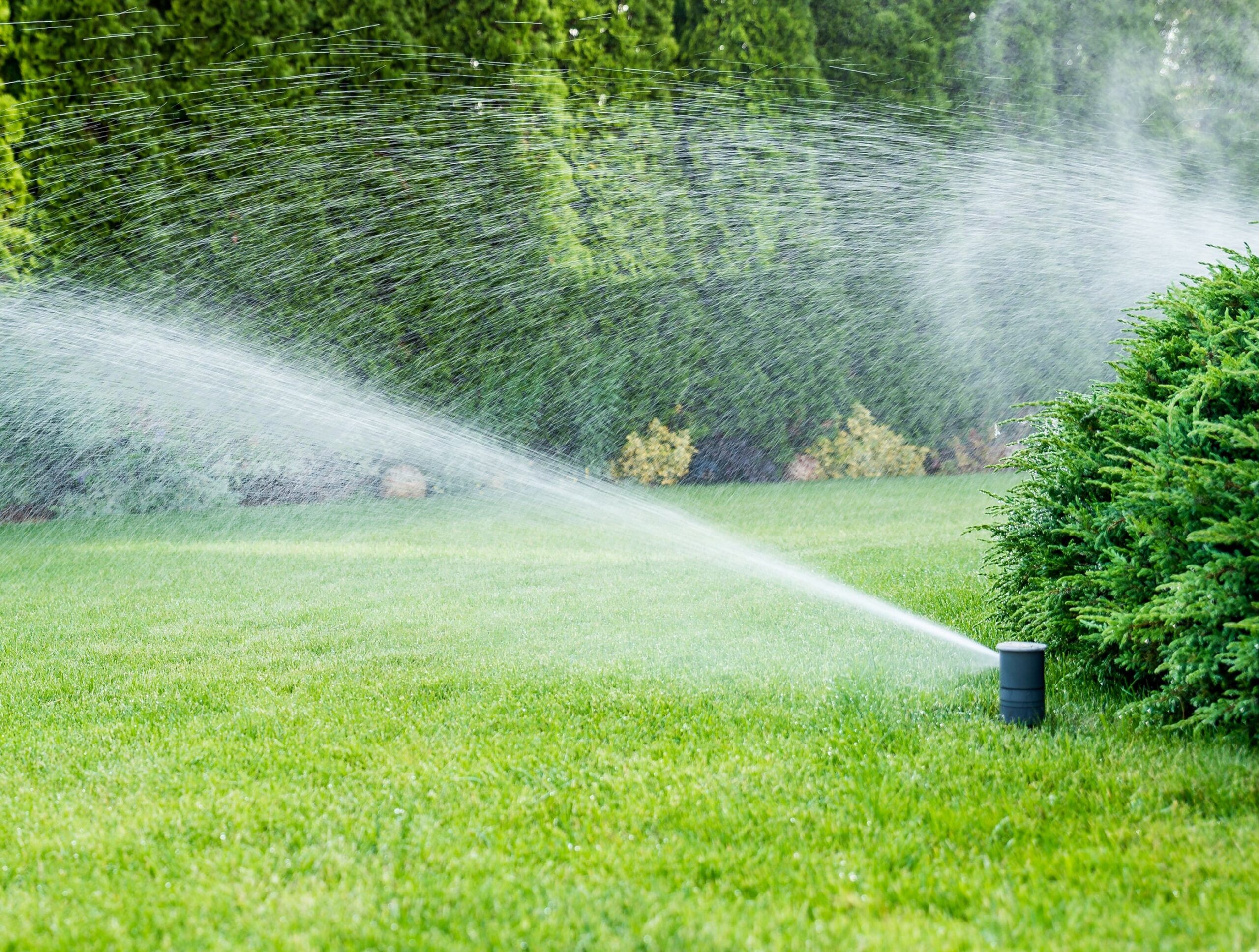 Town of Pine Ridge | Irrigation of Green Grass & Sprinkler | A James Global